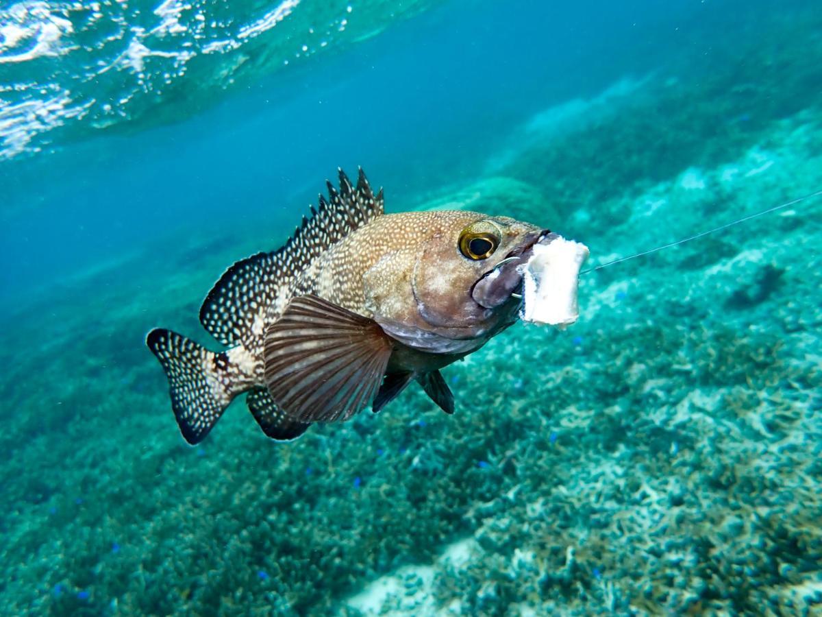 Ishigaki  Blue Ocean Resort מראה חיצוני תמונה