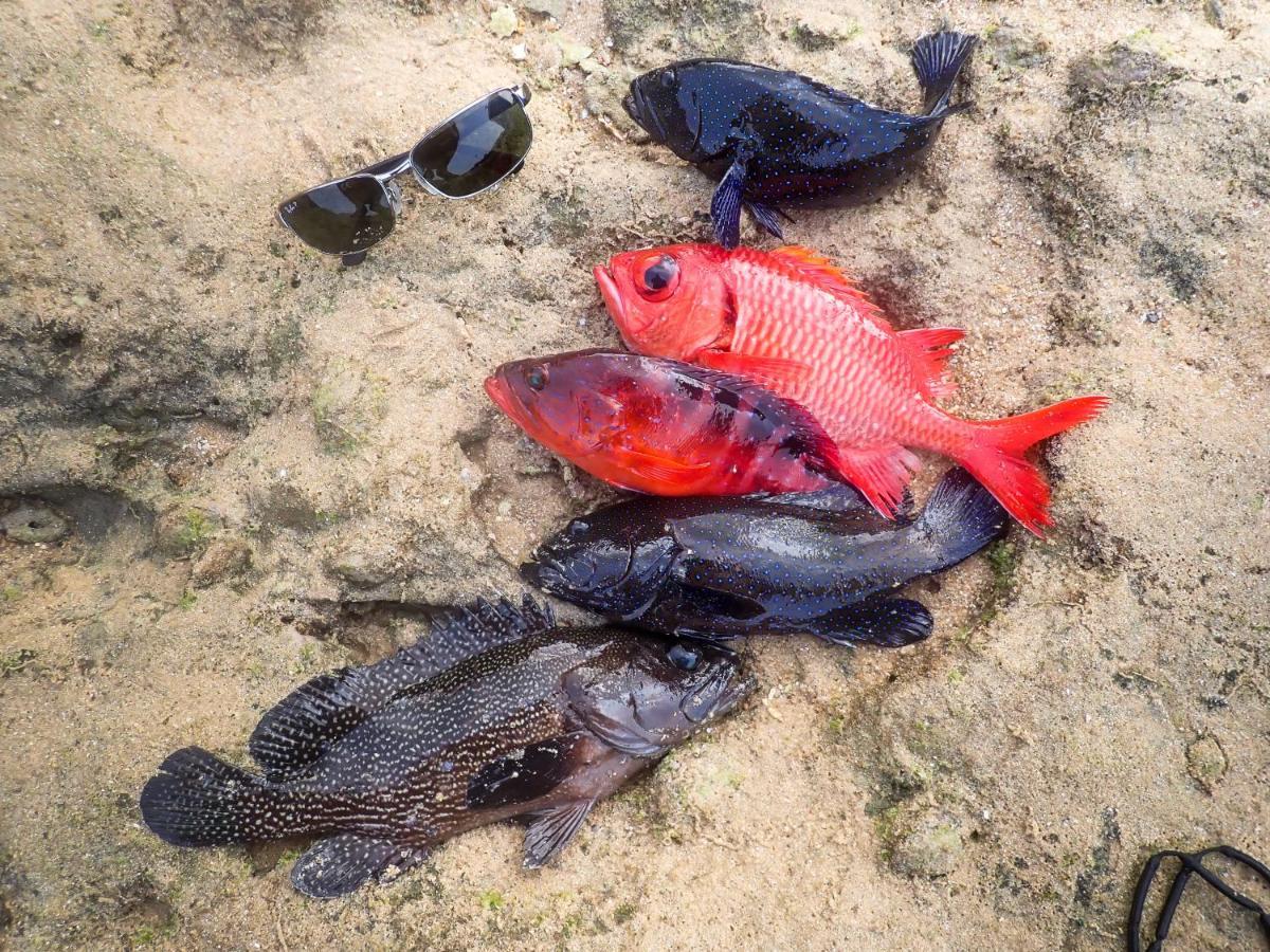 Ishigaki  Blue Ocean Resort מראה חיצוני תמונה